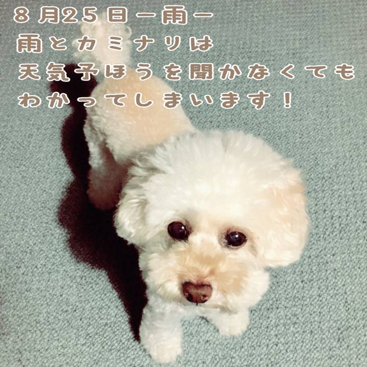 Fcbb0903 6ad2 4bbe 9d25 bd517c233501