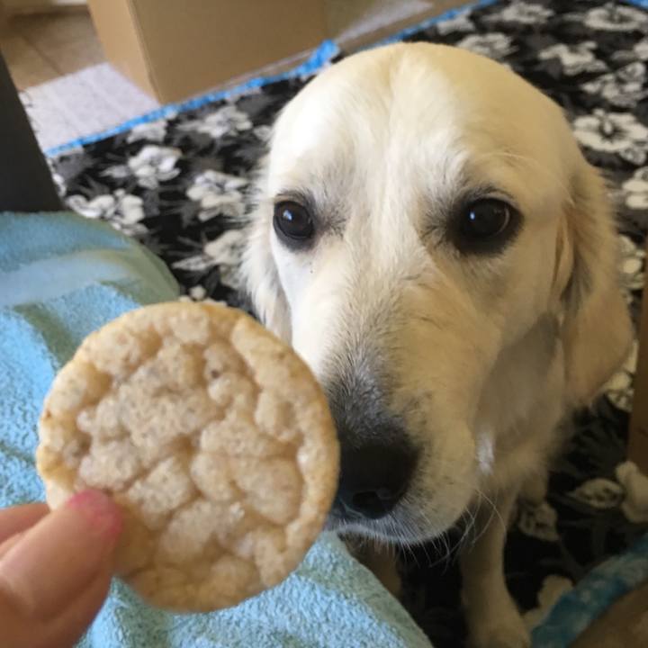 Fcbb7682 fd2e 43e3 9aa4 8780f040fc34