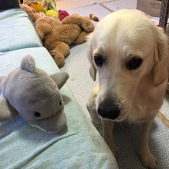 Fcbc063b 63aa 4a3c 83e6 4afebea46722