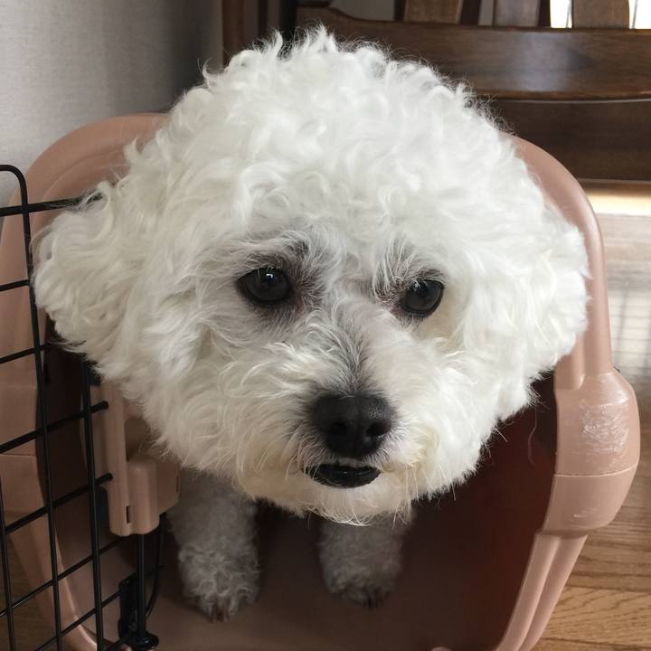 Fcbc0ca5 d796 44b0 a570 fd14ff4d1183