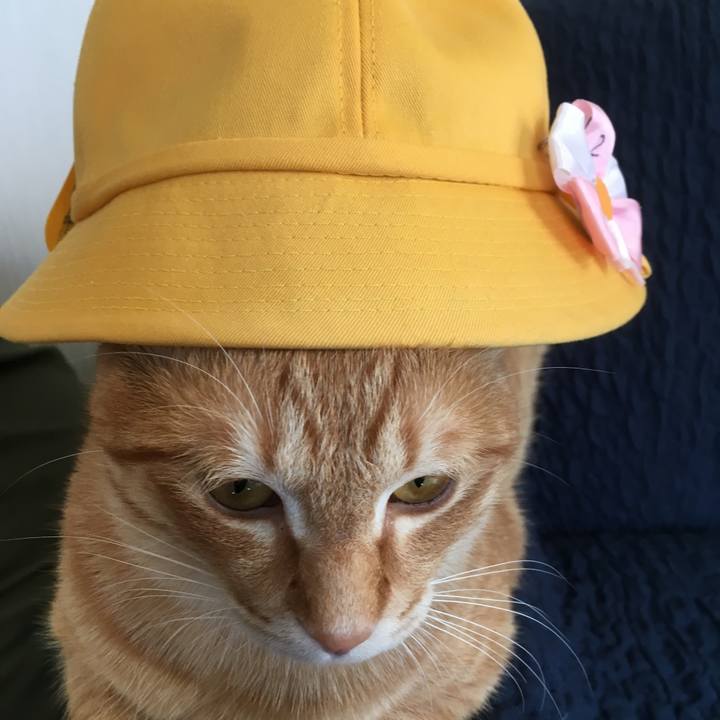 Fcbc1f64 e125 49fe ae92 717b08b9d2ed