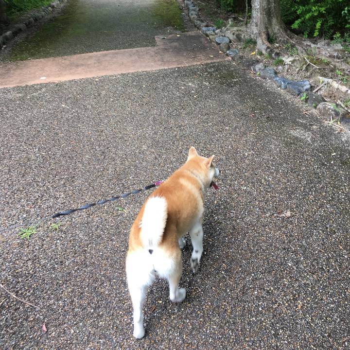 Fcbc2a1f 30fd 473c 9810 b05d22874340