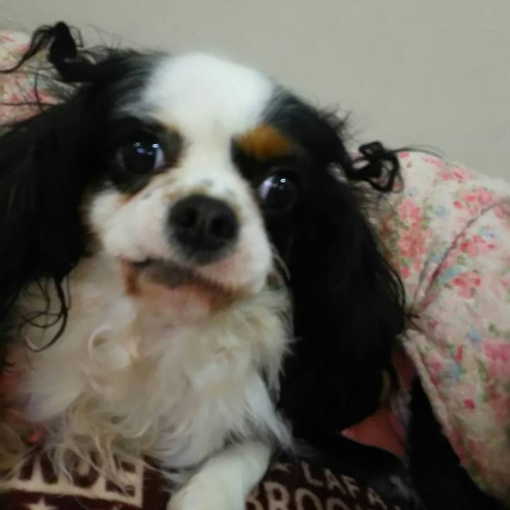 Fcbc8458 ffbd 48e5 9d34 a4e8774f1c16