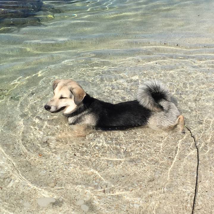 Fcbcbbf6 e106 4962 b665 8d7d525368b7