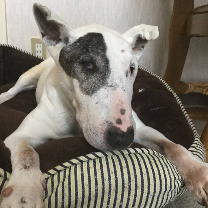 Fcbd18f0 2fe0 45a4 9c72 9d63881f509e