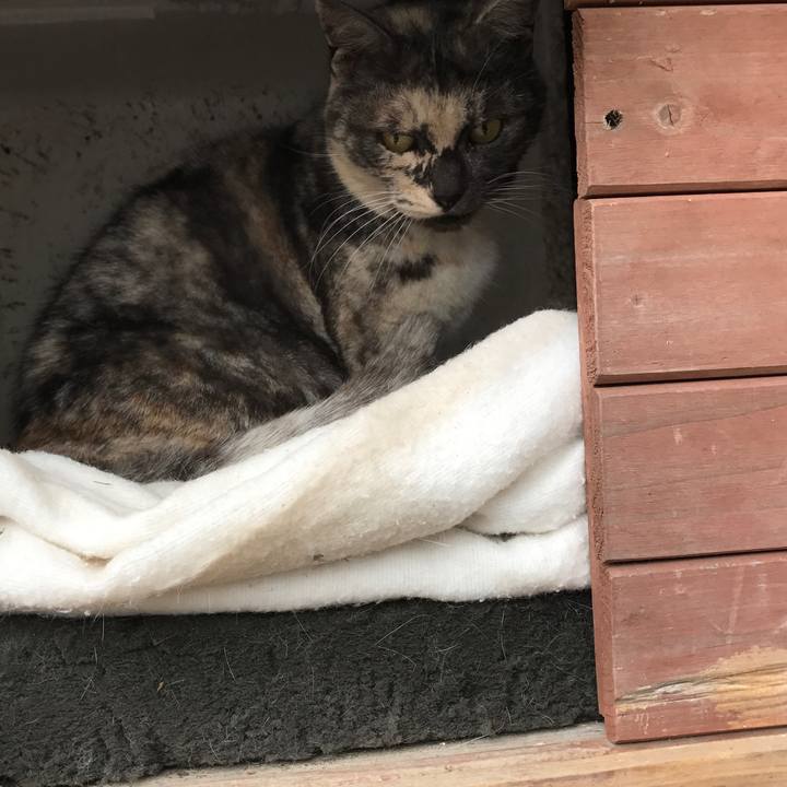 Fcbd229d 23e4 4680 b95e f7be70cae6bb