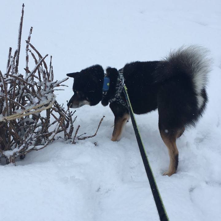 Fcbd6291 be03 492d 8629 dcbe5581a4b4