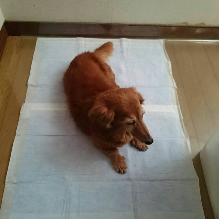 Fcbe4b8b ddfd 40ad b4e1 f95f1f073aa8