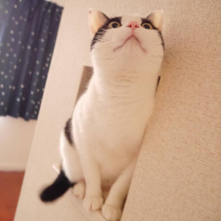 Fcbeca46 0d9a 4c96 8a2e 3edf5a45c2d3