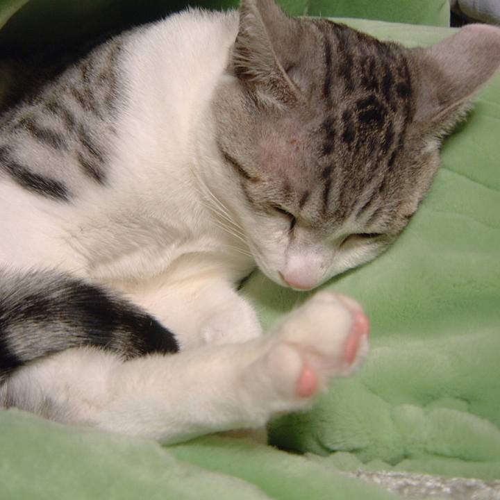 Fcbf21a4 3adb 4e47 b16b 69bbd3348437