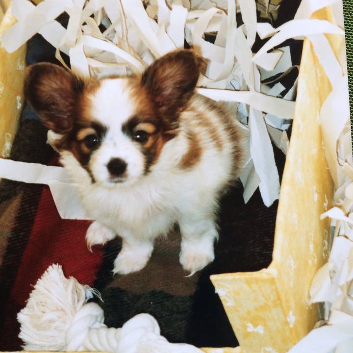 Fcbf2244 3ce9 4111 af32 ac4f4986d2ba