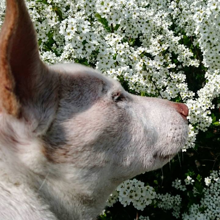 Fcbfc025 15ba 4c7a 95a0 e8be71f6f4e2