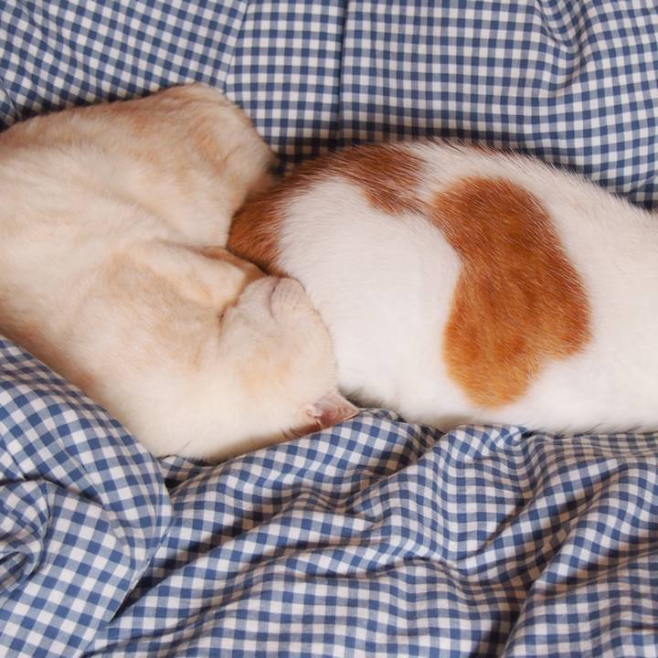 Fcbfccd7 8601 4132 870d 1d0d66c45de0