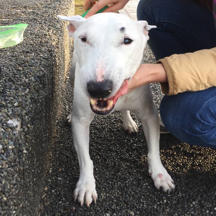 Fcbfce0e 17e9 4788 b102 3093d0ddde8b