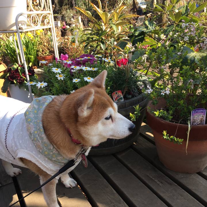 Fcbfe7f8 62a3 451f ba6f f730898f2955