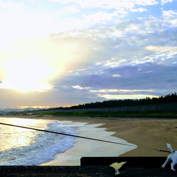 Fcc01ea1 061a 4279 8847 02024345ae5c