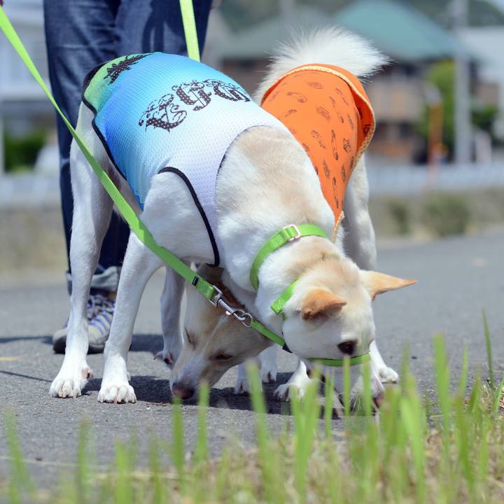 Fcc072ec 938a 4079 bbea d8a6f72e2b1f