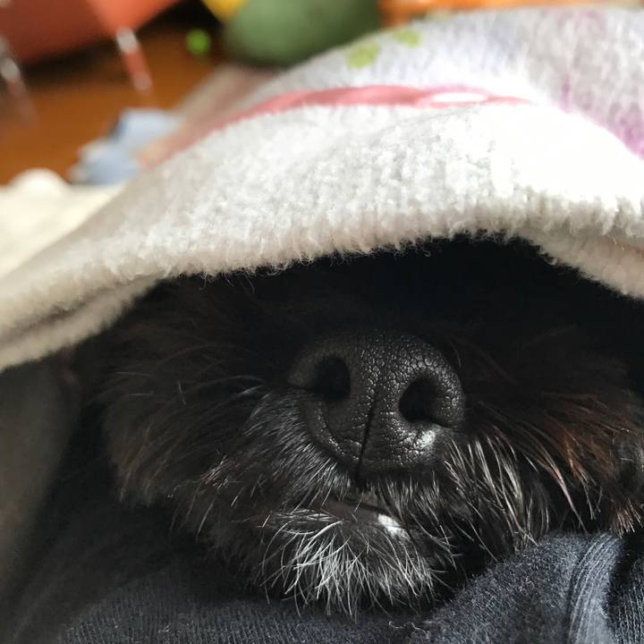 Fcc0ac2a 6e3f 4128 92da 094e4b4fa6a9