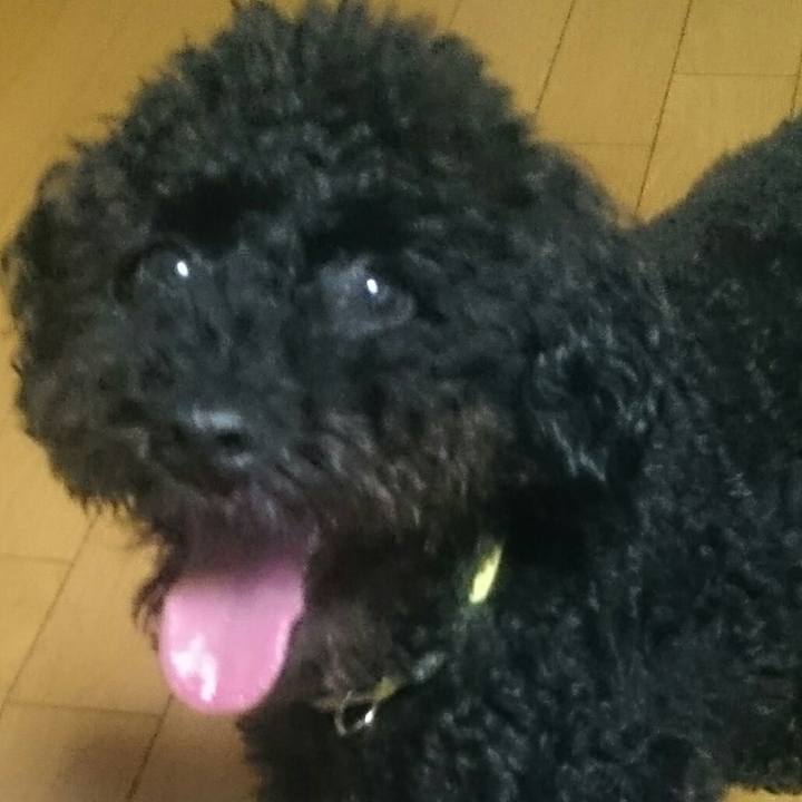 Fcc0e7eb d2d8 4352 8f50 19dbd5649a36