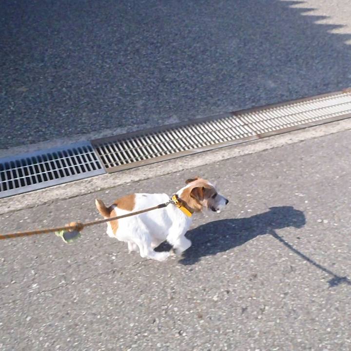 Fcc14500 d77c 43a4 8e3a cbe89539fa54