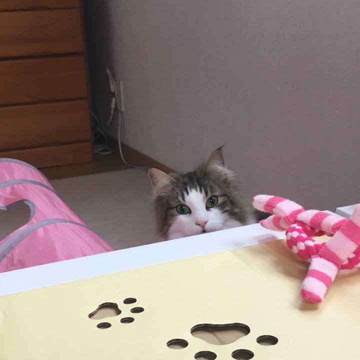 Fcc18e60 8079 4cf8 bd8e c4bfe5efac69