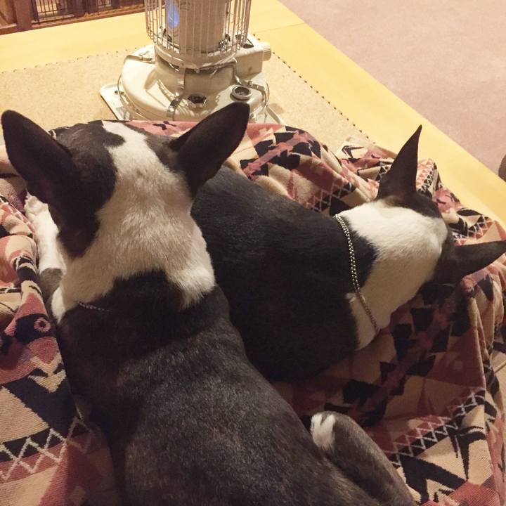 Fcc249da 7b9a 451f b854 64261cabd4cd