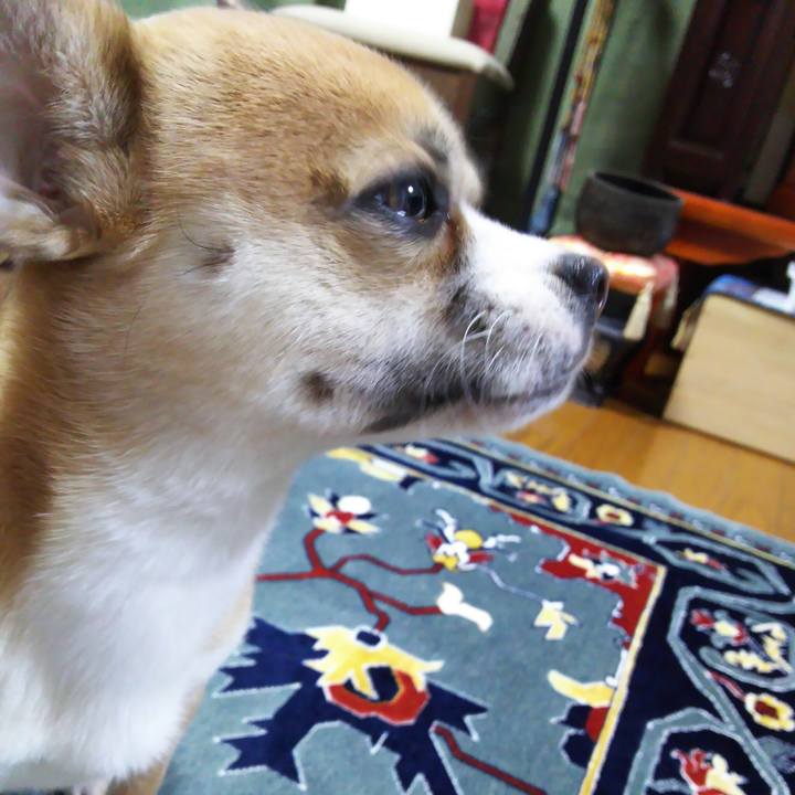 Fcc2746c 29e2 433d 8703 2cb44fe13bcf