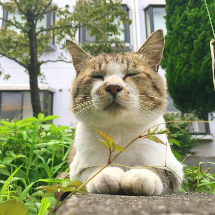 Fcc34b16 175e 43df a4e7 05274830ca15