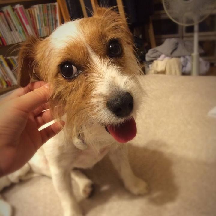 Fcc35a19 a449 4680 b755 6ad1c521dcb5