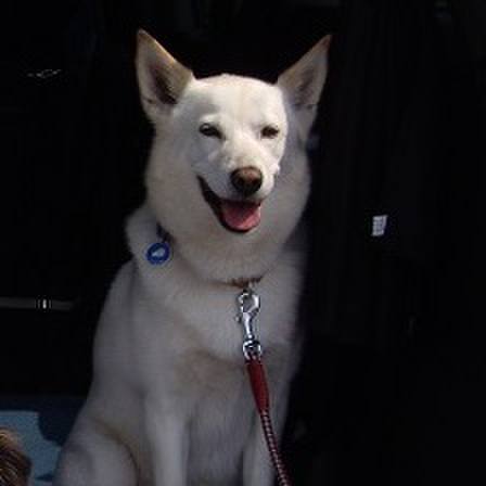 Fcc36020 6b12 4249 bdc5 07974cf8dabe