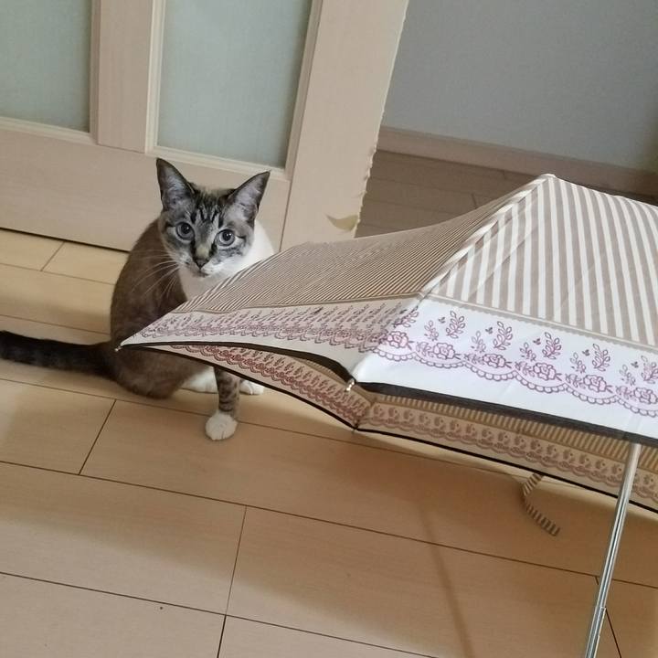 Fcc38451 04fe 4bcf 95d1 5607fca1ba57