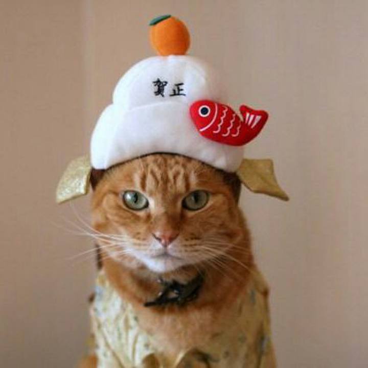 Fcc3d08a 5161 47a4 917f 77c6de856266