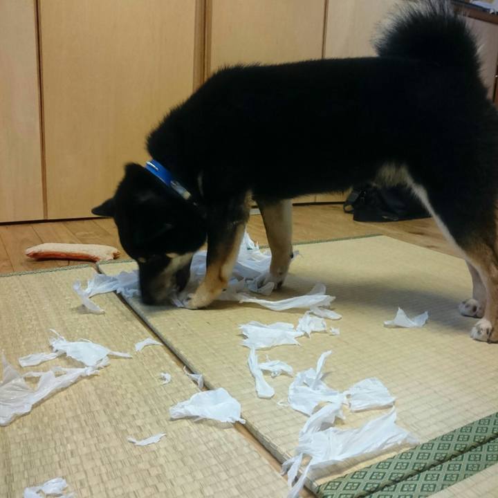 Fcc45389 ba2f 4f69 bea6 6d93b0e482a5