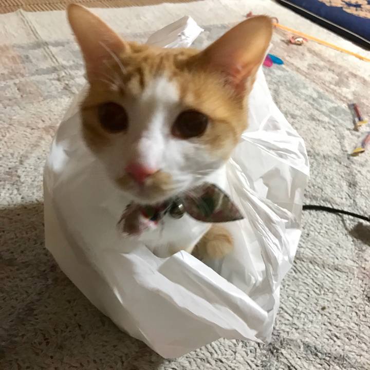 Fcc467fc 2071 48f3 a1ab b38b9e192387