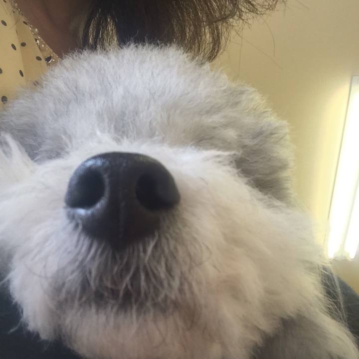 Fcc4d3bf fdcb 4a33 9060 d77bb2d09735