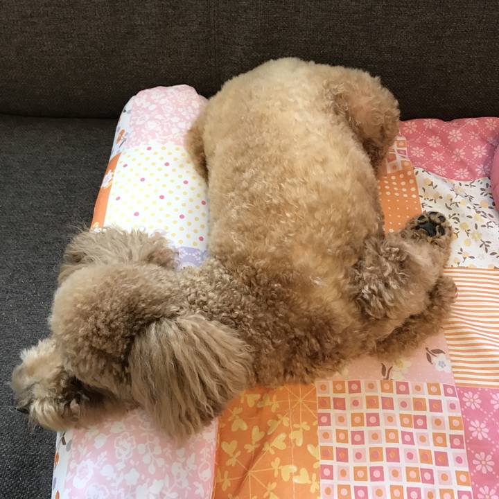 Fcc5a3a2 d221 465b a5c6 9f5909d620a0