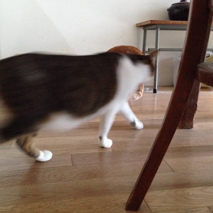 Fcc6a37c 8223 4161 92ce b40185404e54