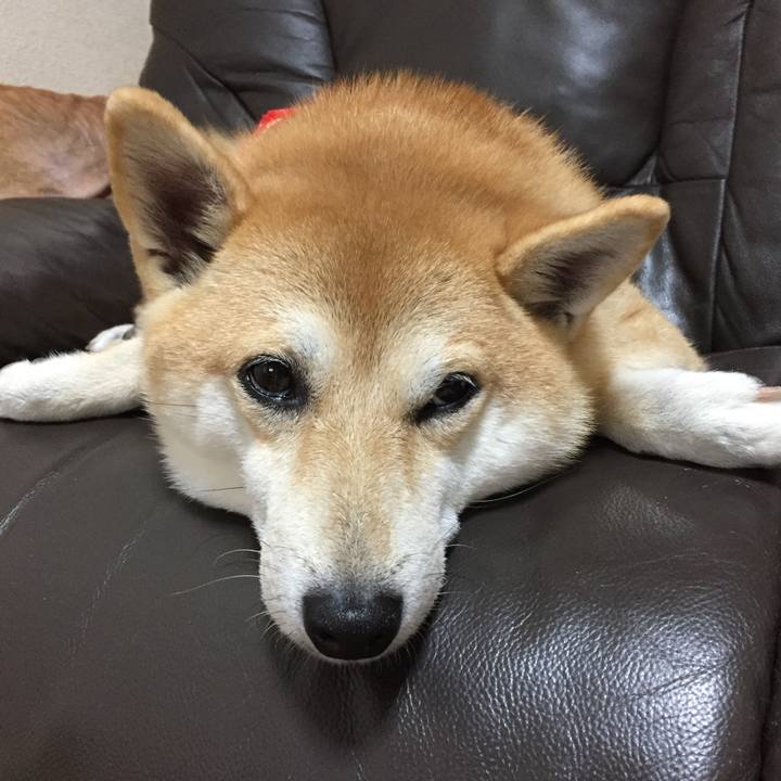 Fcc6bb23 4ee9 45e6 a6ed 86be44fef00c