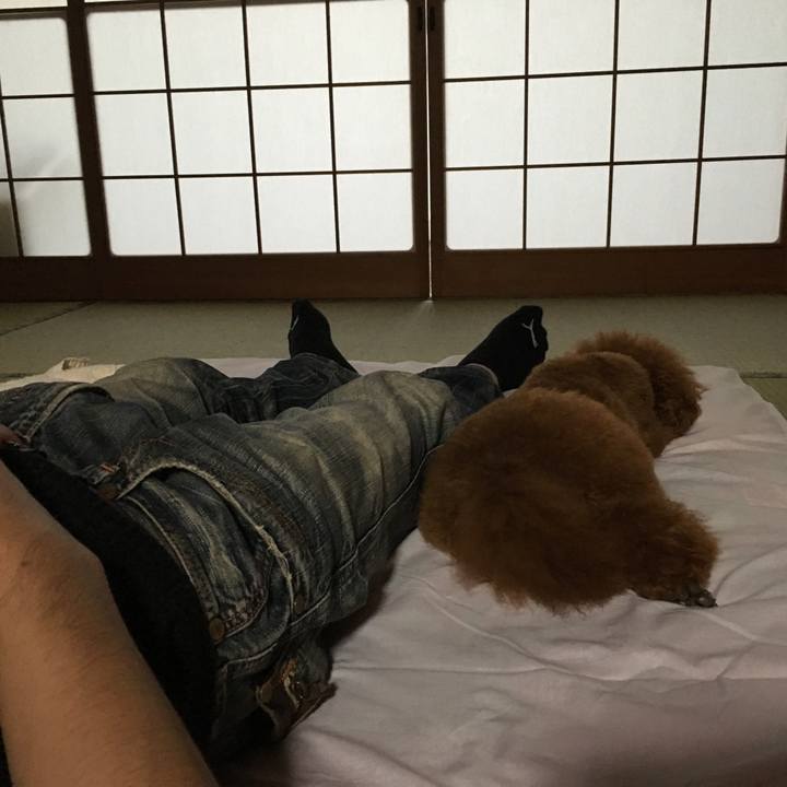 Fcc6c7ee 7b66 4e58 857a c412dd915628