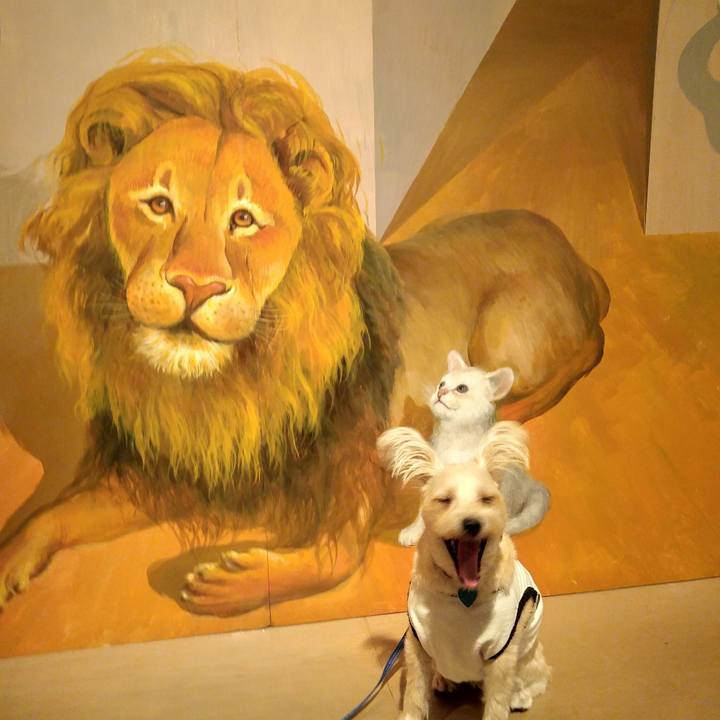 Fcc7aee9 02e7 4c8b acad d67715fd6ab9