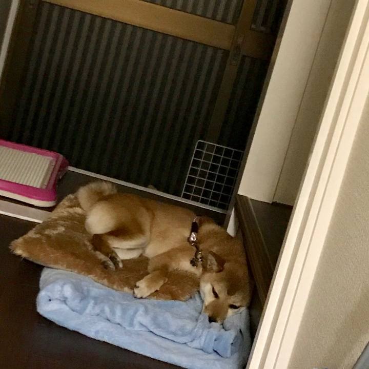 Fcc83961 4e20 41a7 9d4b dde77a848b35