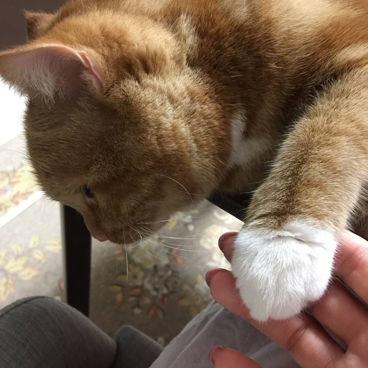 Fcc87fcd ec09 49c7 b6f9 bc73b2917c2e