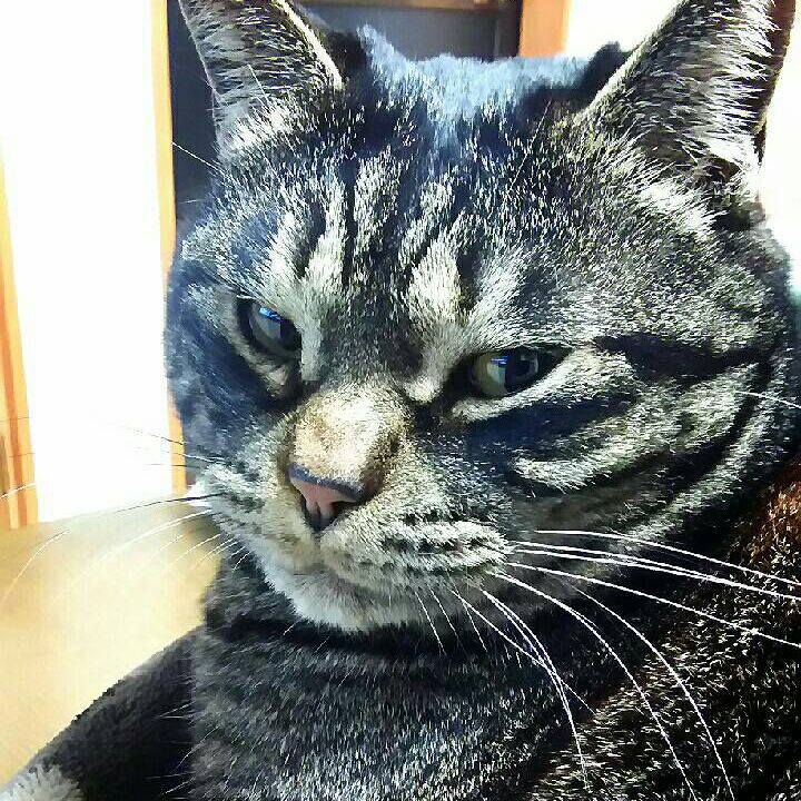 Fcc887f2 a2b6 4330 a182 e48e0347fb93