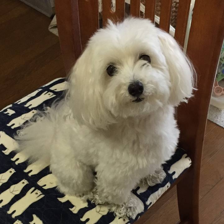 Fcc8bd49 612d 4dea a494 9dda50787076