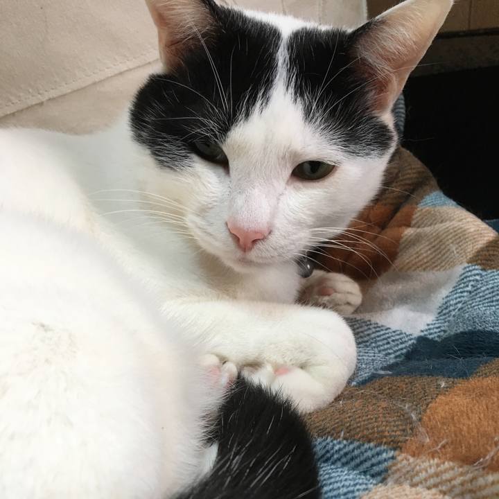 Fcc97585 9037 4ebd bc96 b69c00652297