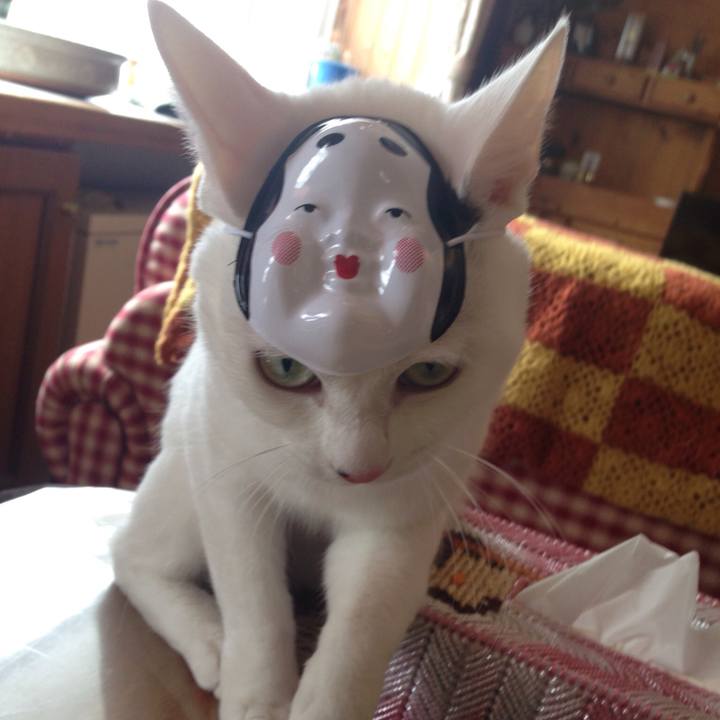 Fcc9ef32 2469 43f8 ab7f 28cc35493da4