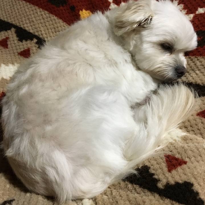 Fccad8a4 59f7 4f77 8fae 6ee08f321aa2