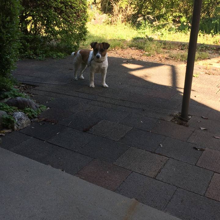 Fccae1bf 7df6 4592 af99 f83ca3e5bca0