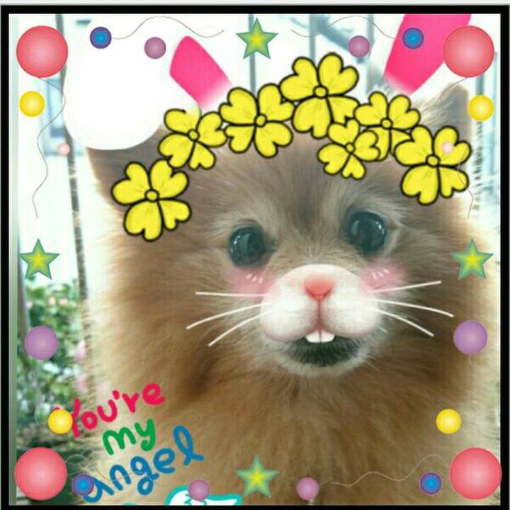 Fccb045d f363 4875 a6f4 1fb0f72afbce