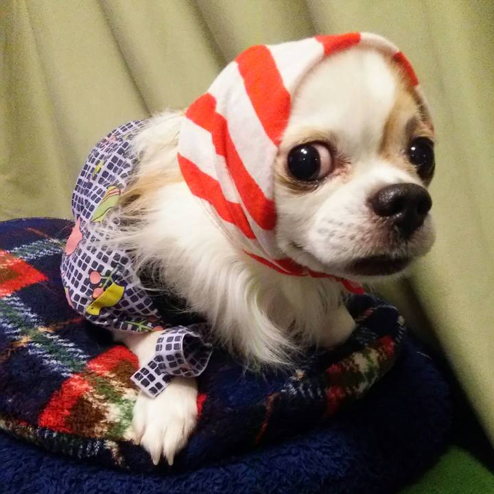 Fccb4edd 4def 4cde b777 9ce712dad038